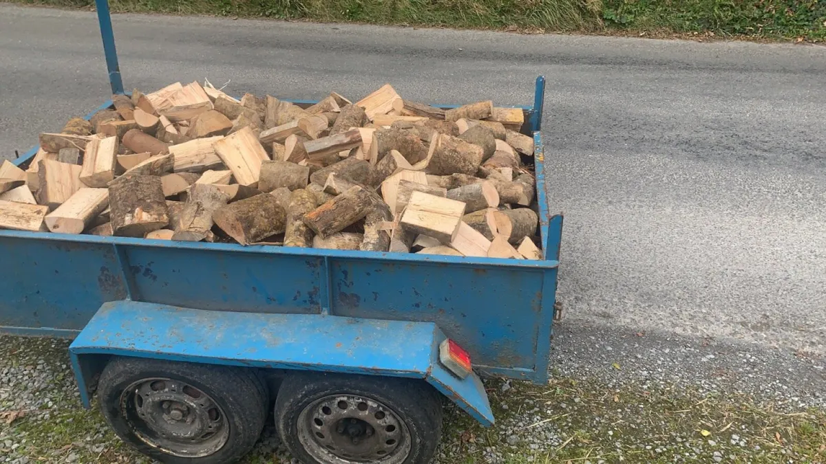 Firewood - Image 3