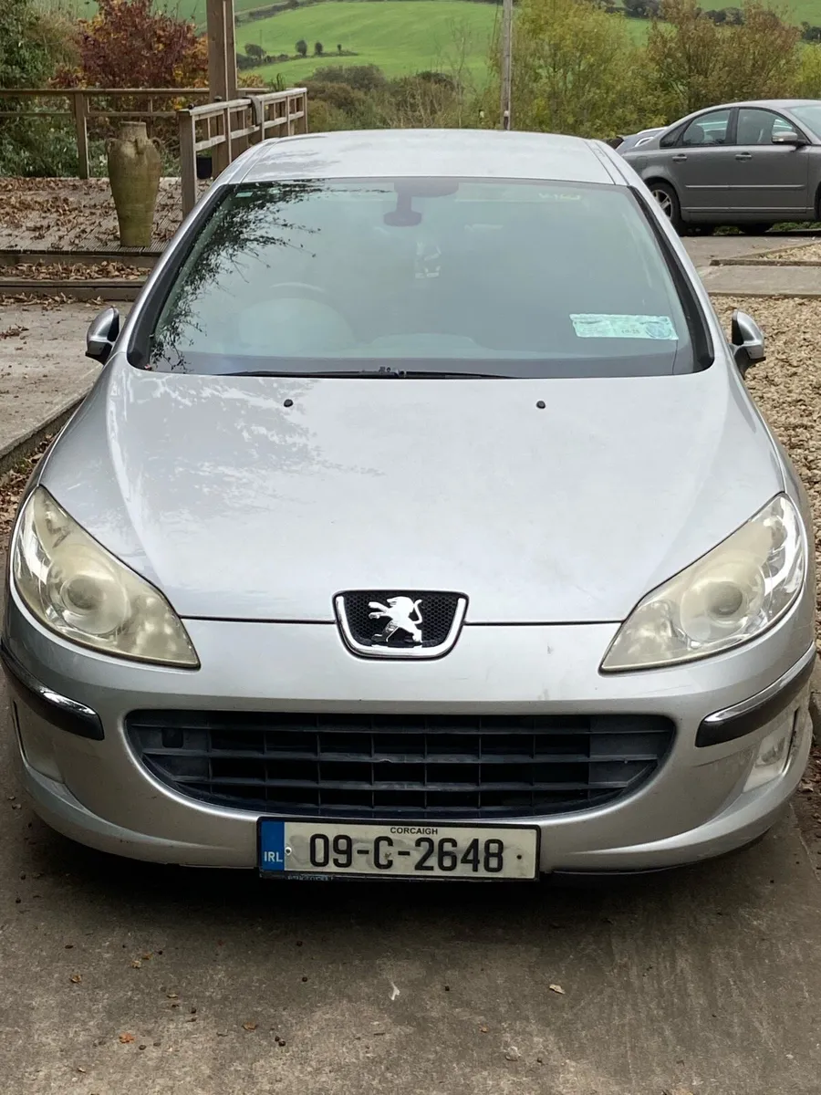 Peugeot 407 - Image 1