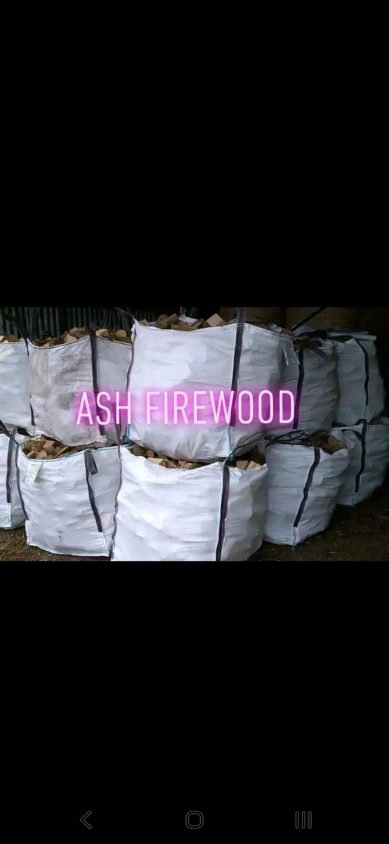Firewood - Image 1