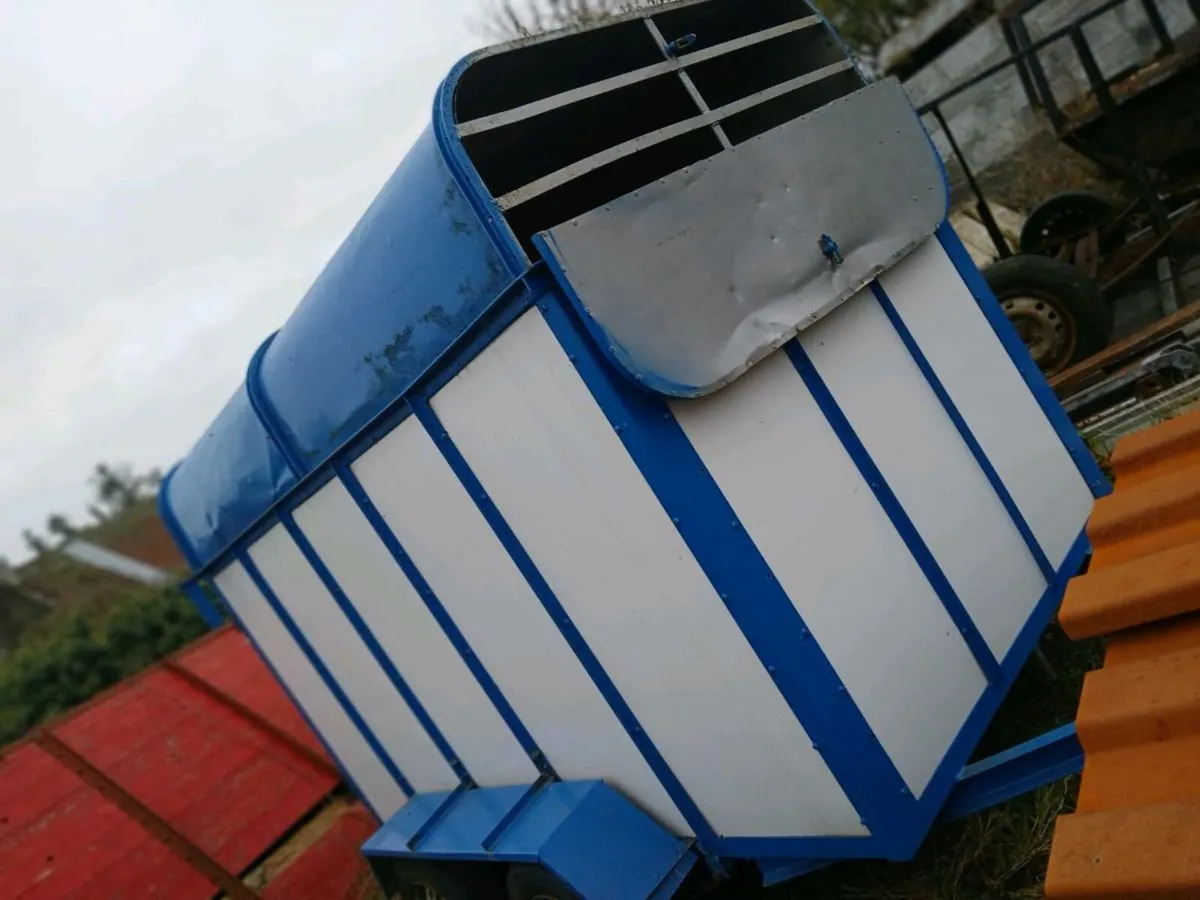 Cow box 8ft×4ft - Image 1