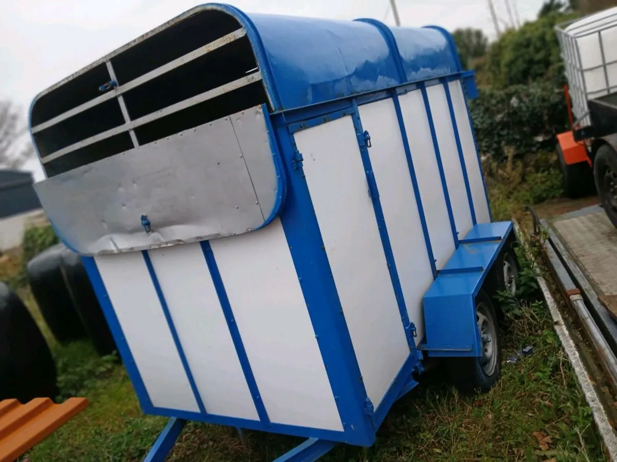 Cow box 8ft×4ft - Image 2