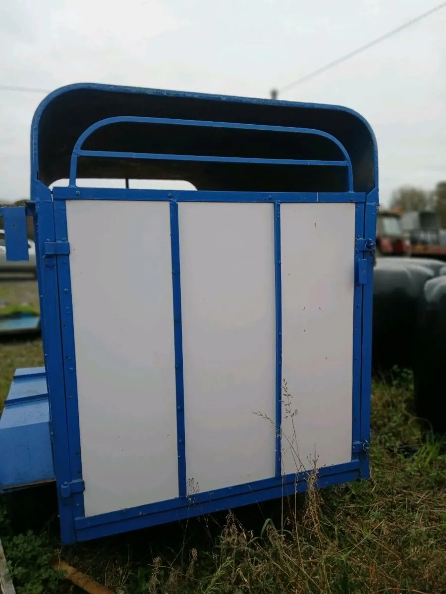 Cow box 8ft×4ft - Image 4