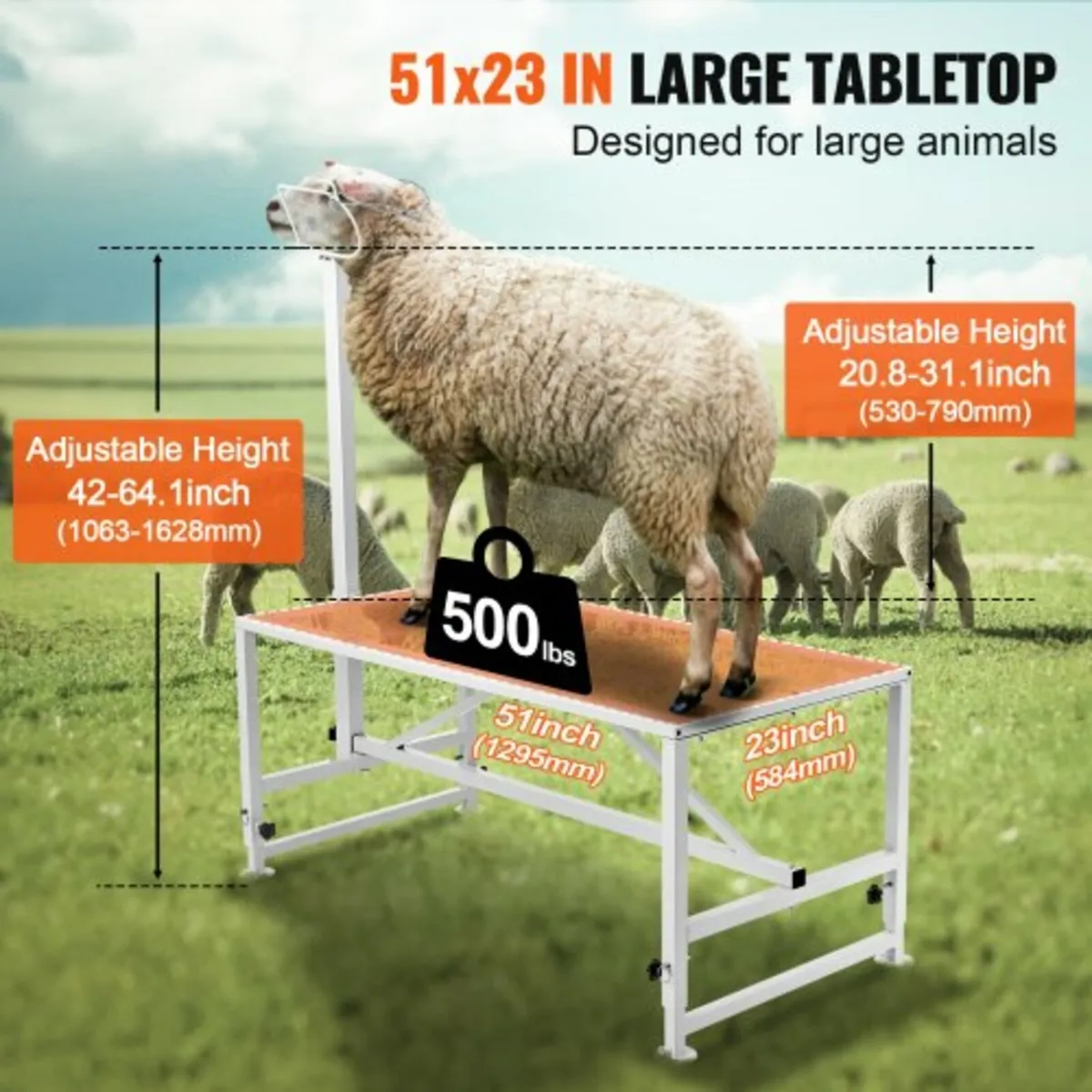 Goat & Sheep Stand, 51x23 inch Livestock Stand, Me - Image 4