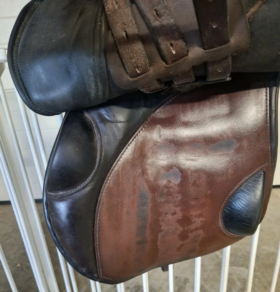 Berney GP Saddle - Image 2