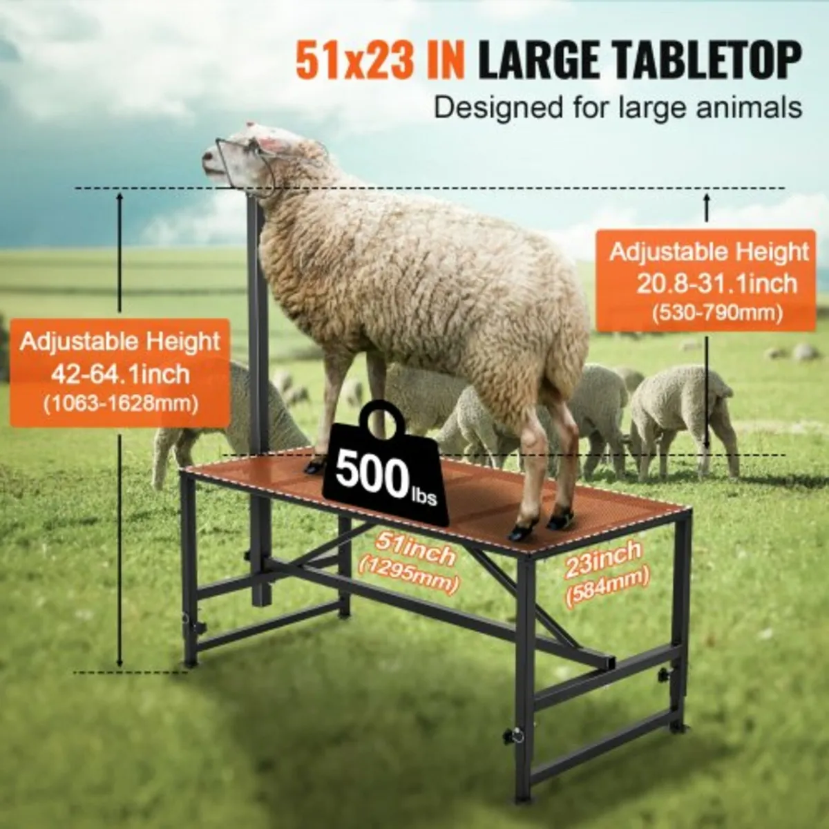 Goat & Sheep Stand, 51x23 inch Livestock Stand, Me - Image 4