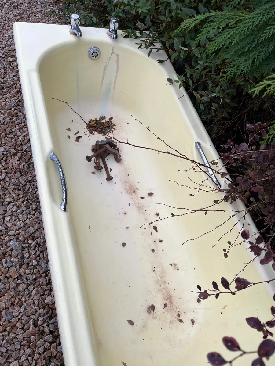Cast Iron Bath - Image 1