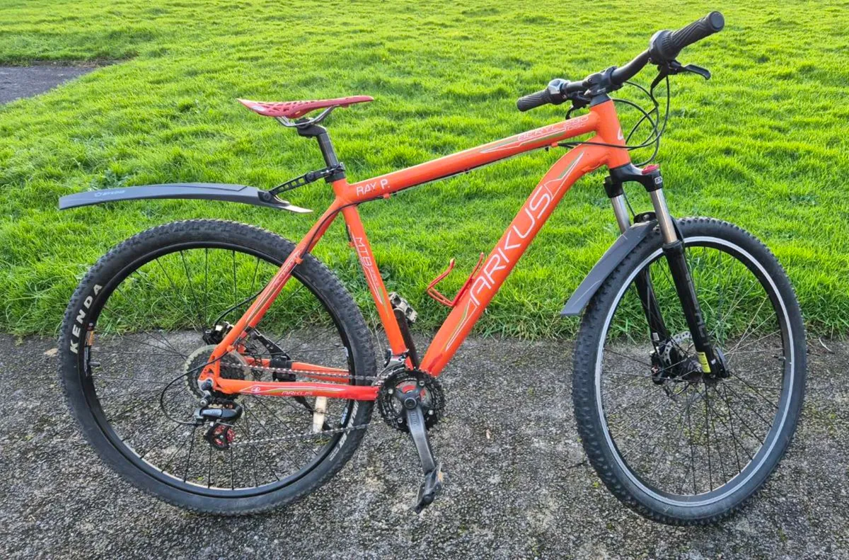 29-inch mountain bike - Image 1