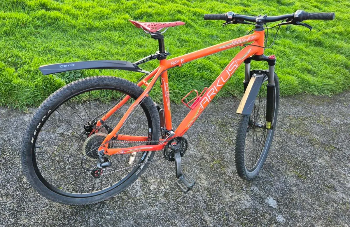 29-inch mountain bike - Image 4