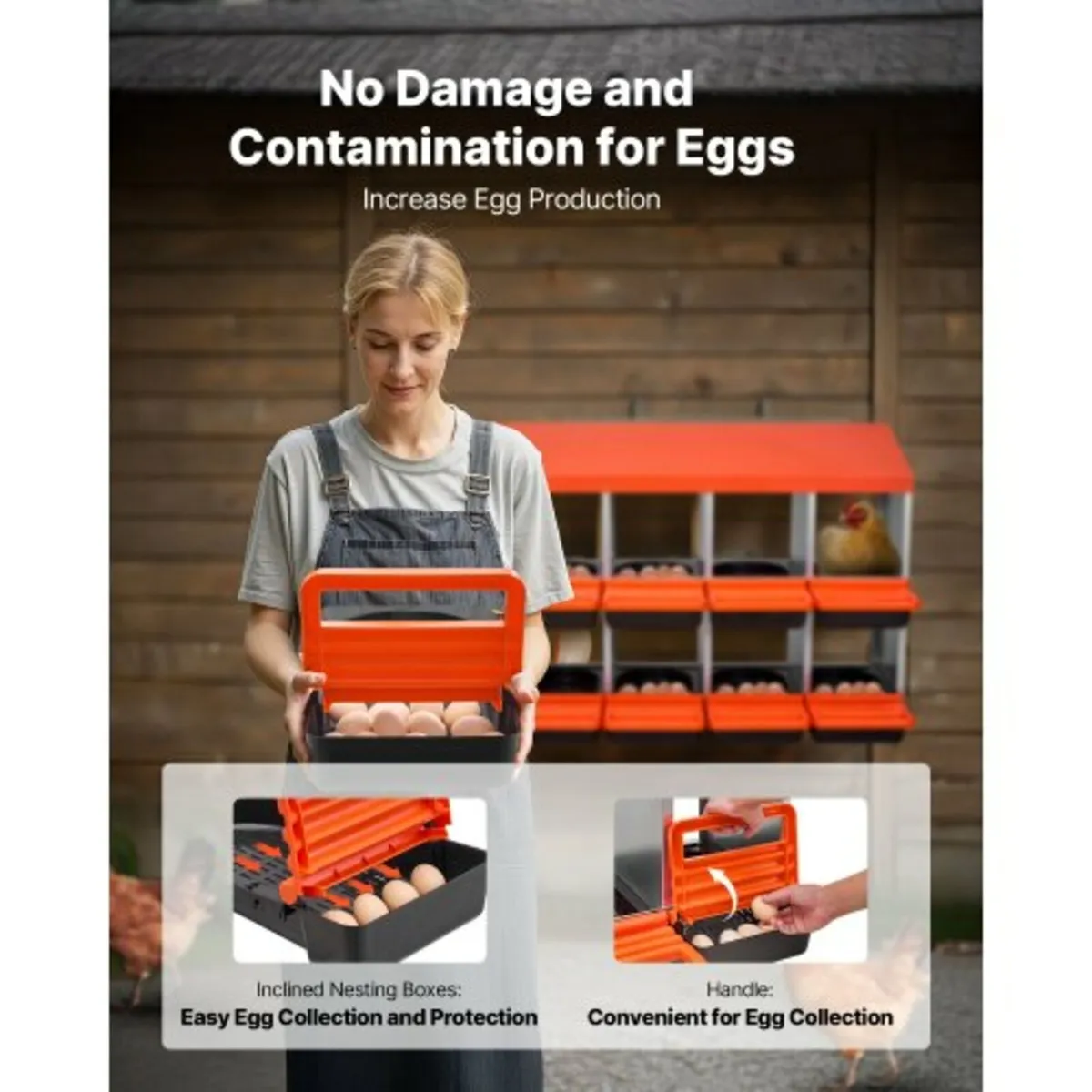 Chicken Nest Box, 10-Compartment, 30 to 45 in Stab - Image 3