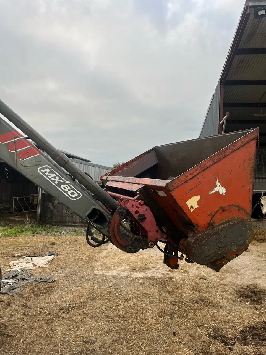Beet chopper - Image 2