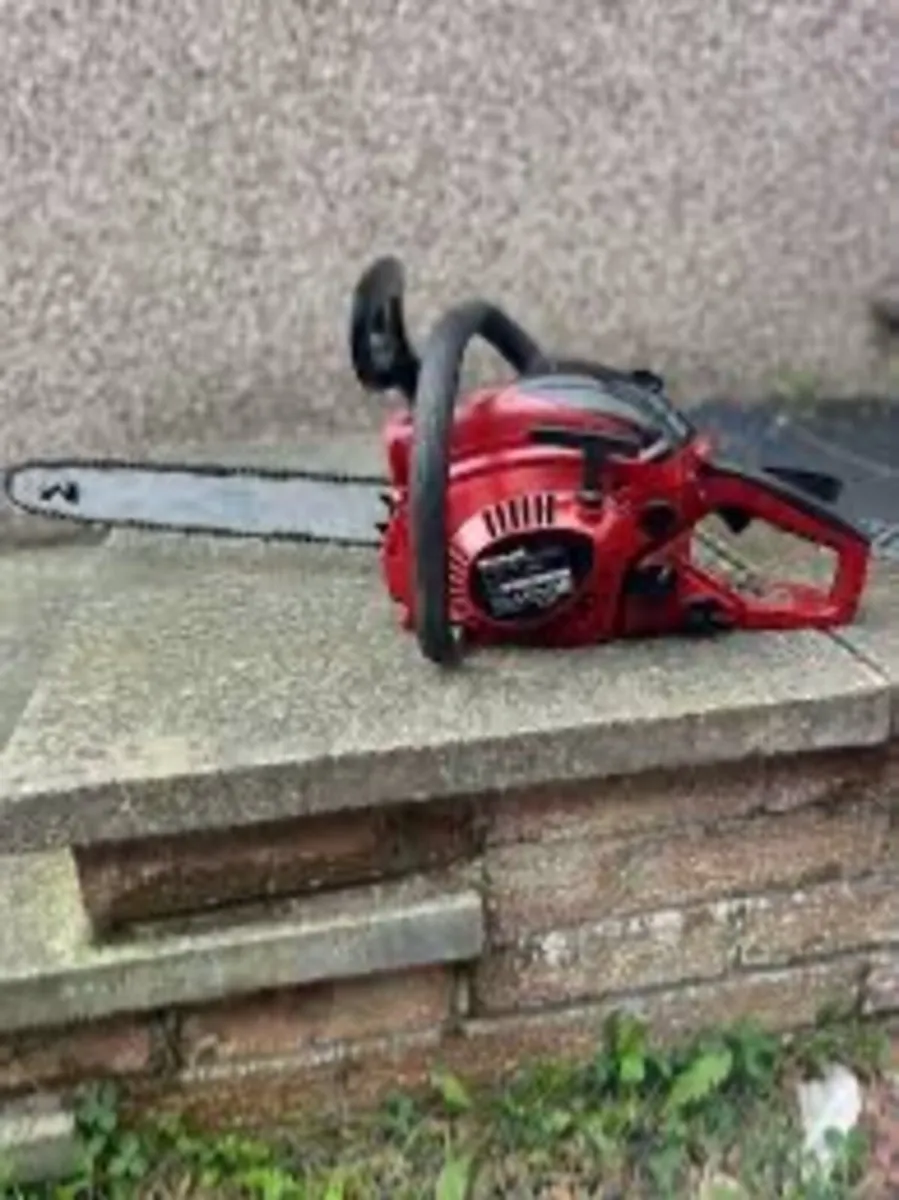Einhill chainsaw