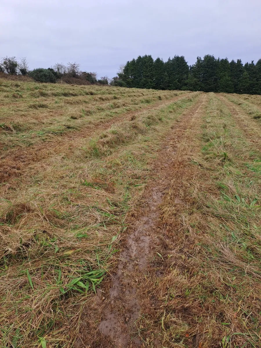Silage - Image 1