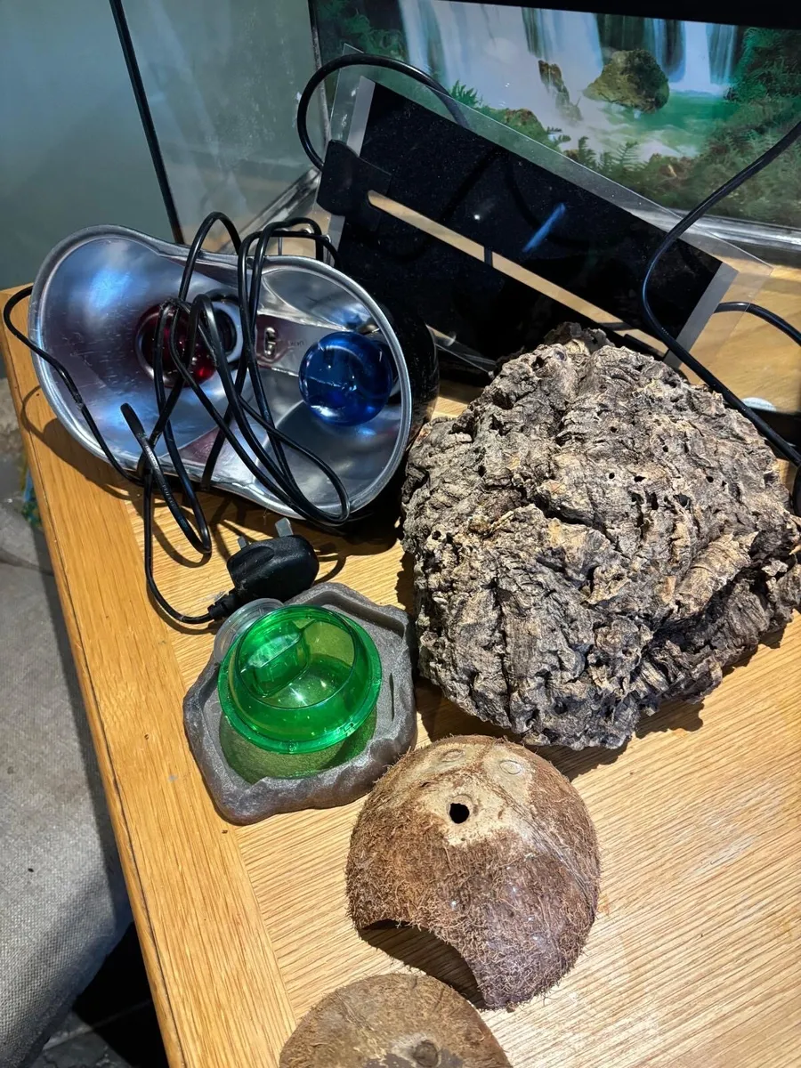 Reptile terrarium - Image 4