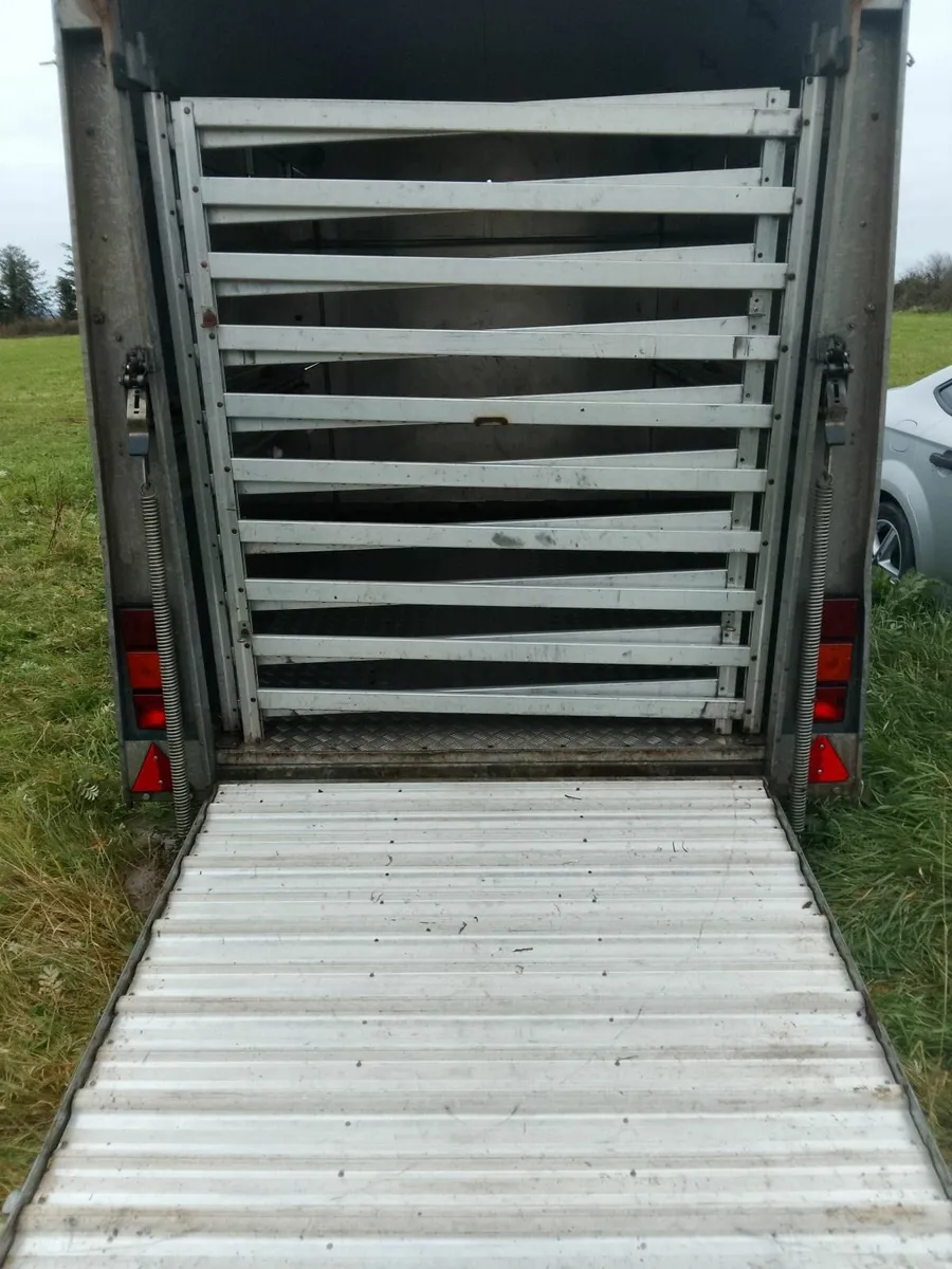 Trailer - Image 2