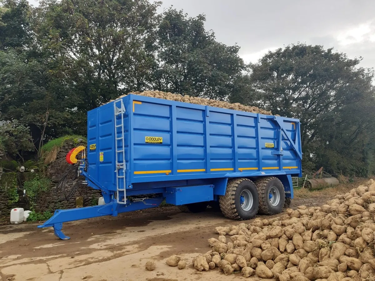 Sugar Beet - Image 2