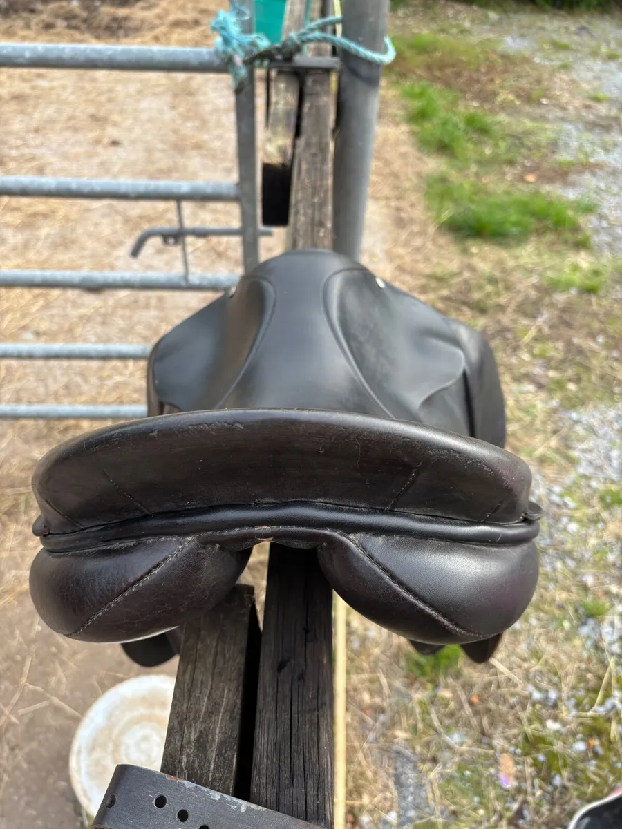 18” international jumping berney saddle - Image 4