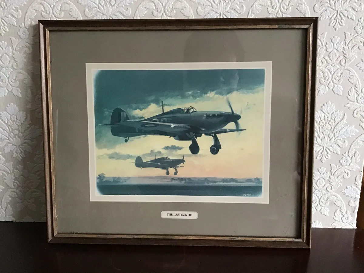 Vintage Aviation Roffe Print Framed - Image 1