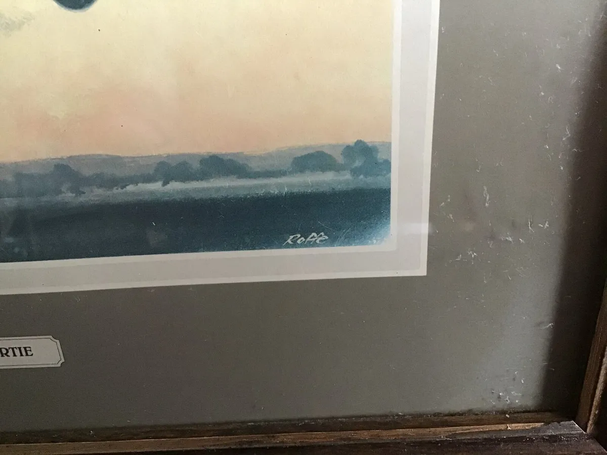 Vintage Aviation Roffe Print Framed - Image 3