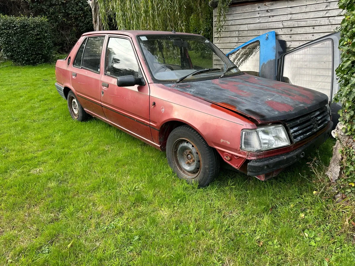 Peugeot 309 - Image 1
