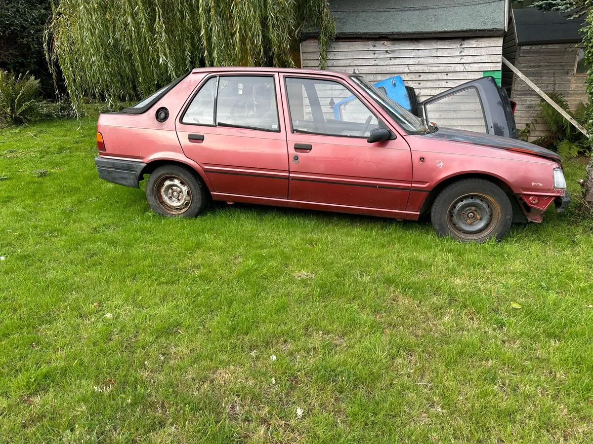 Peugeot 309 - Image 2
