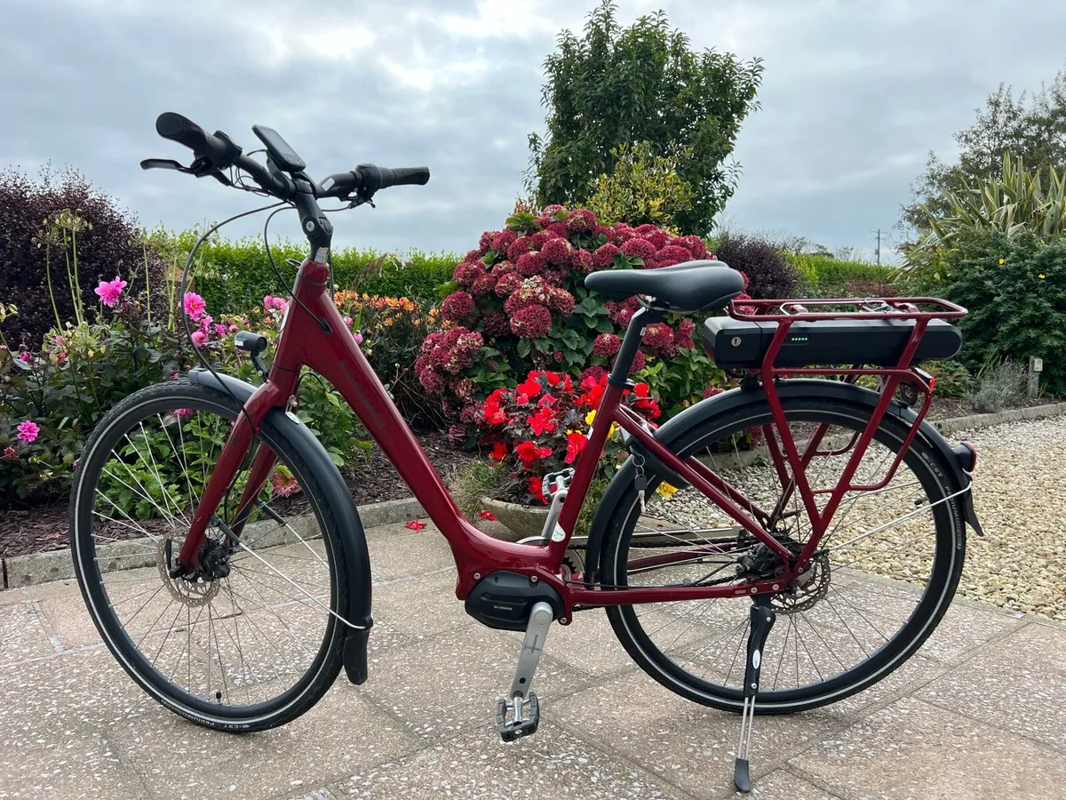 Electric bike - Image 1