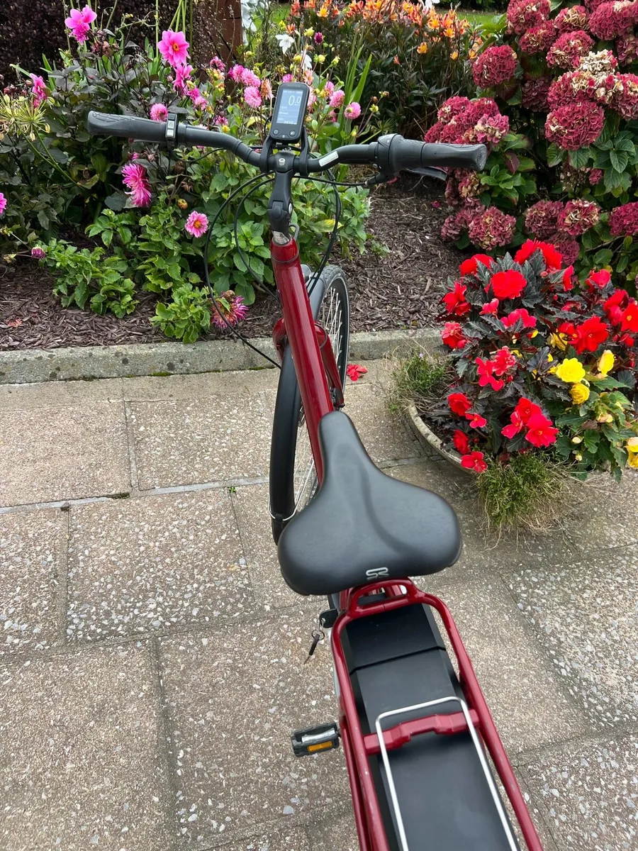 Electric bike - Image 3