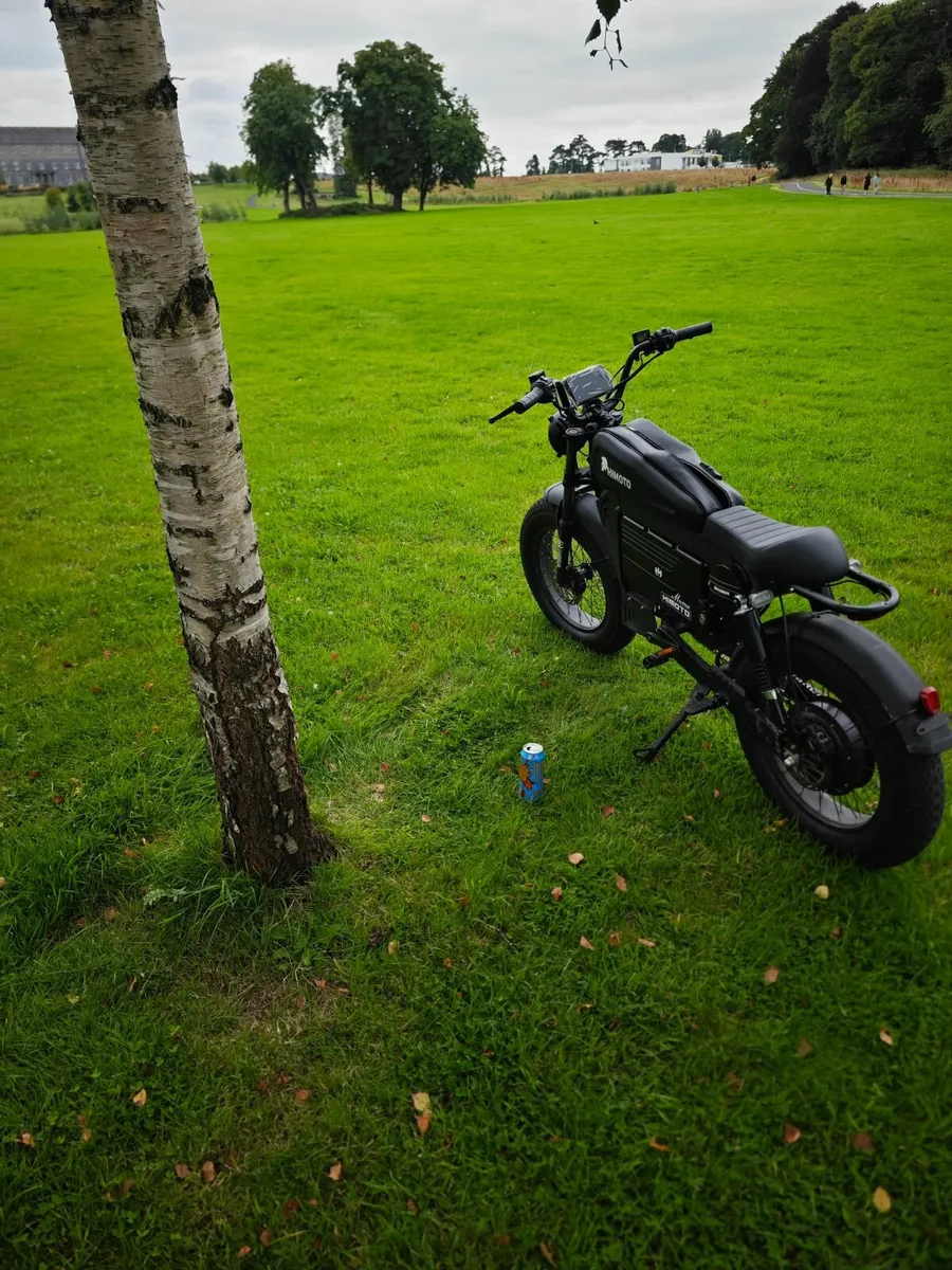Ebike - Image 3
