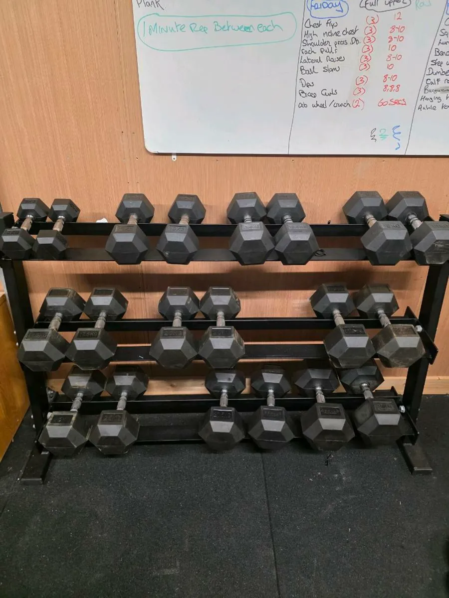 Full dumbell set and rack - Image 2