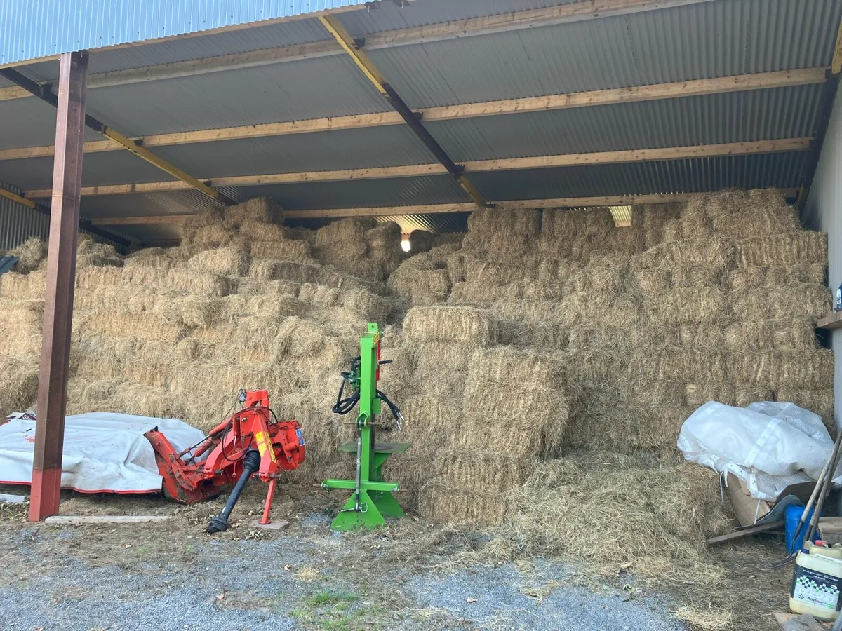 Hay - Image 1