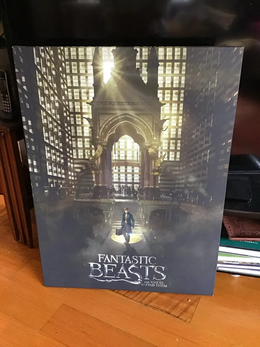 FANTASTIC BEASTS   & Where to Find Them - Image 1