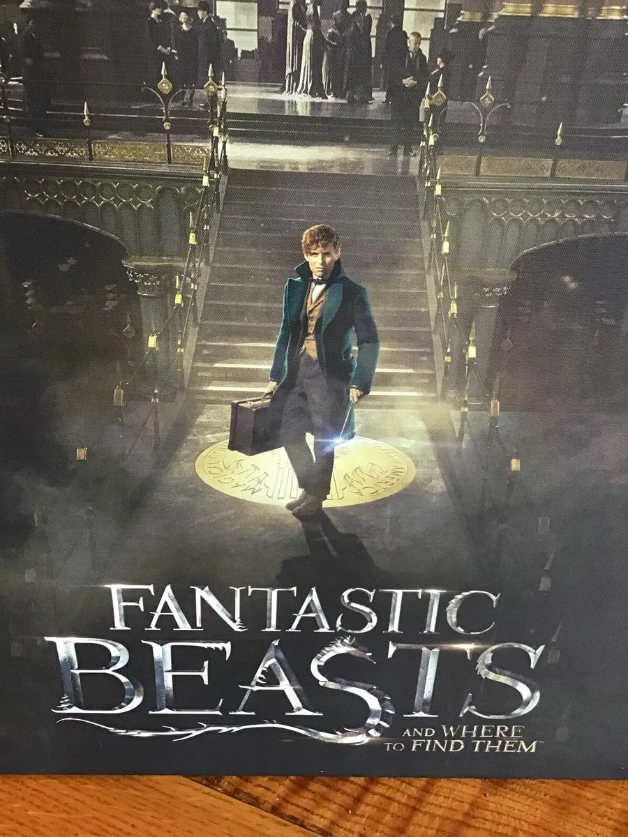 FANTASTIC BEASTS   & Where to Find Them - Image 2
