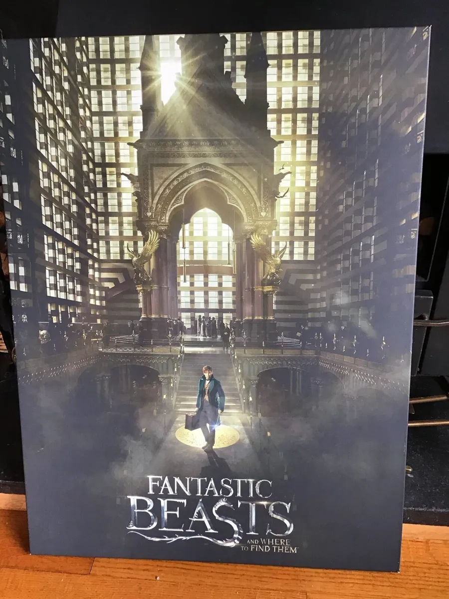 FANTASTIC BEASTS   & Where to Find Them - Image 3