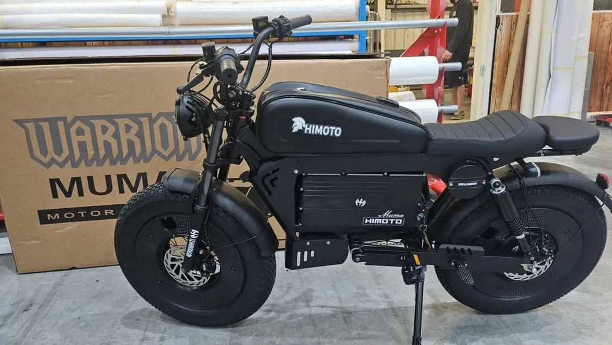 Ebike - Image 4