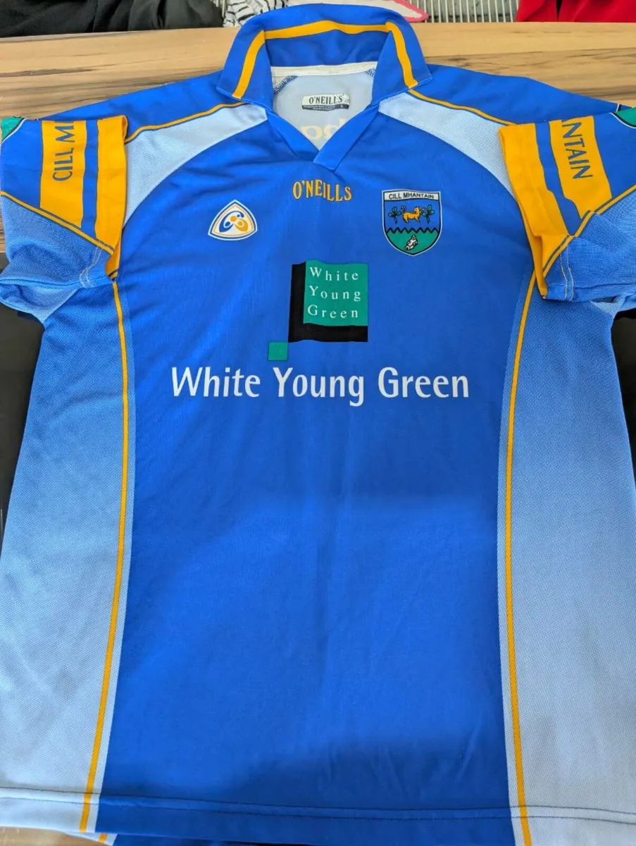 2006 wicklow gaa jersey match worn adult large - Image 2