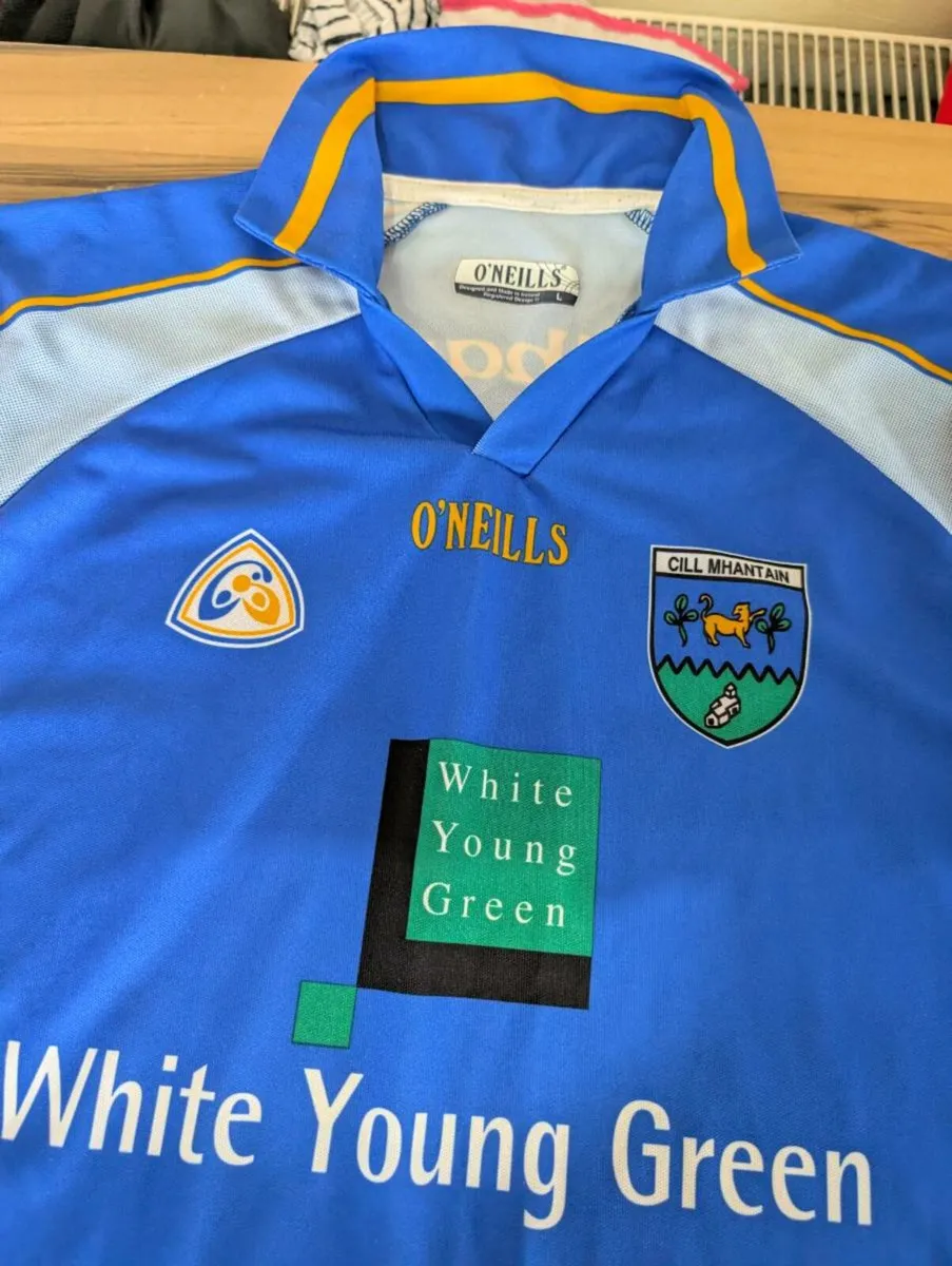 2006 wicklow gaa jersey match worn adult large - Image 3