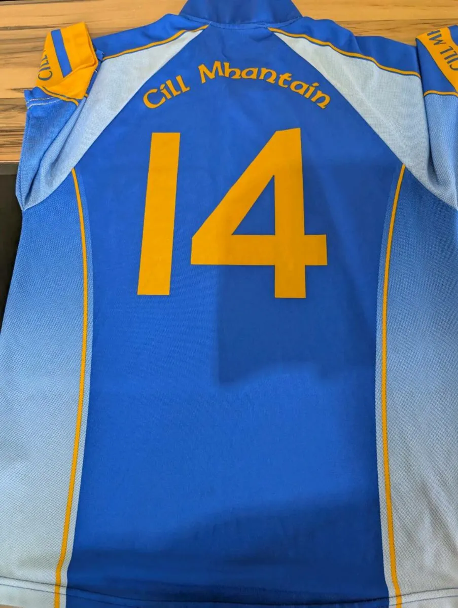 2006 wicklow gaa jersey match worn adult large - Image 4