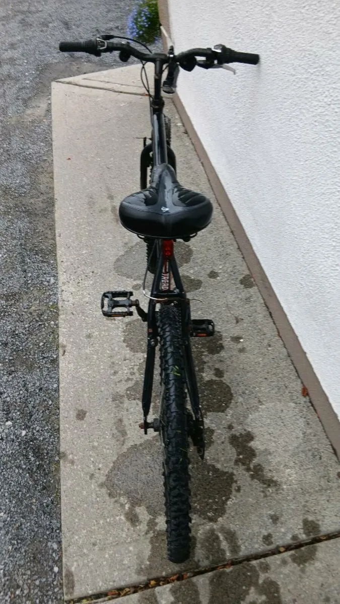Bicycle - Image 3