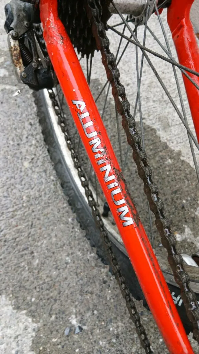 Bicycle - Image 3