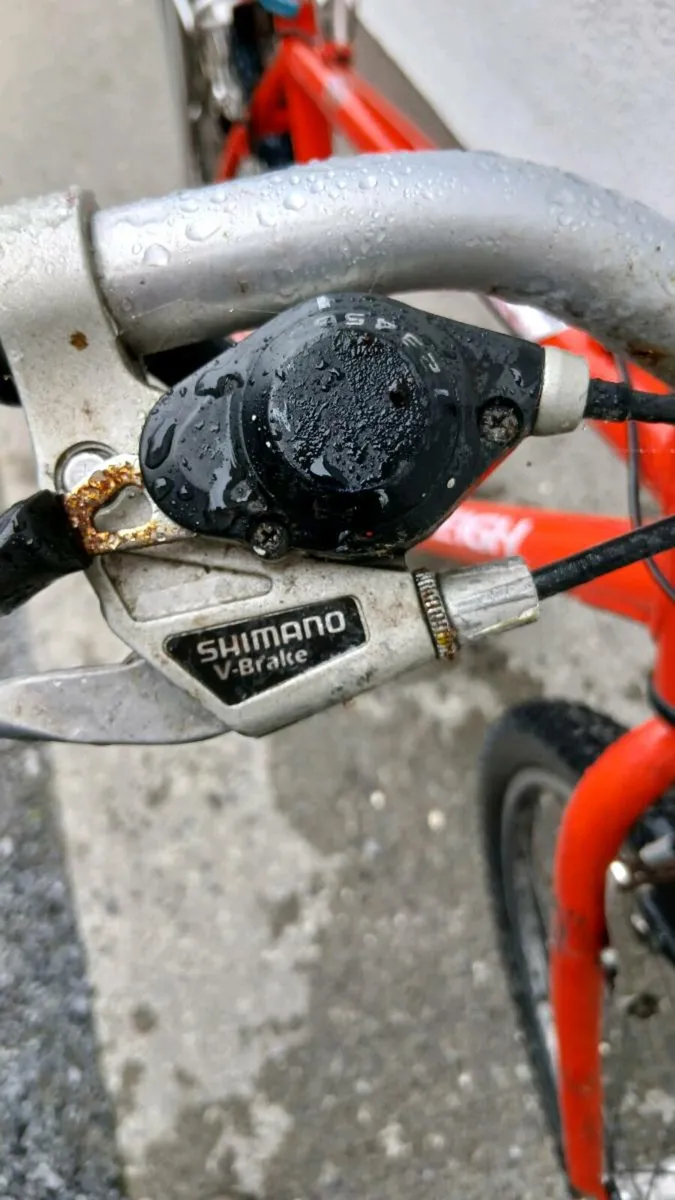 Bicycle - Image 4