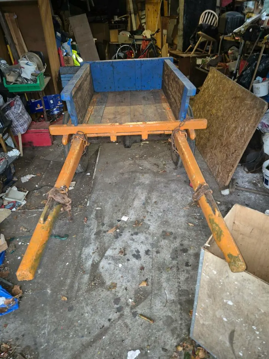 Donkey Cart - Image 2