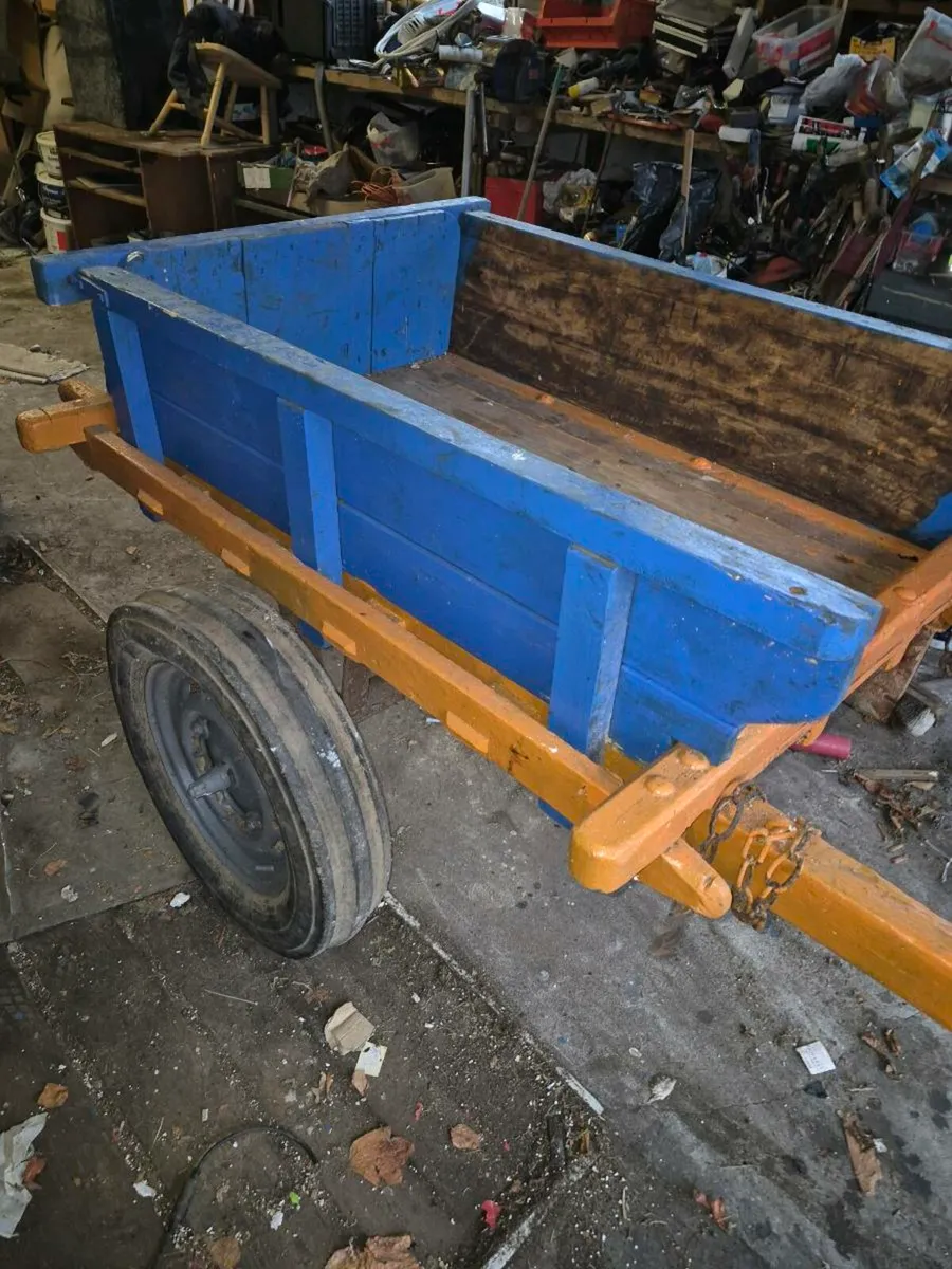 Donkey Cart - Image 3