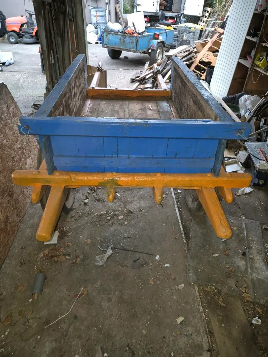 Donkey Cart - Image 4