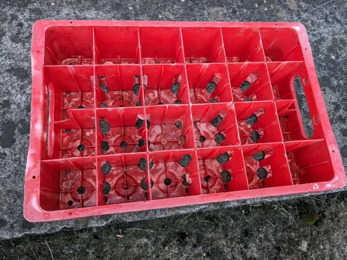 Vintage Coca Cola Crate - Image 4