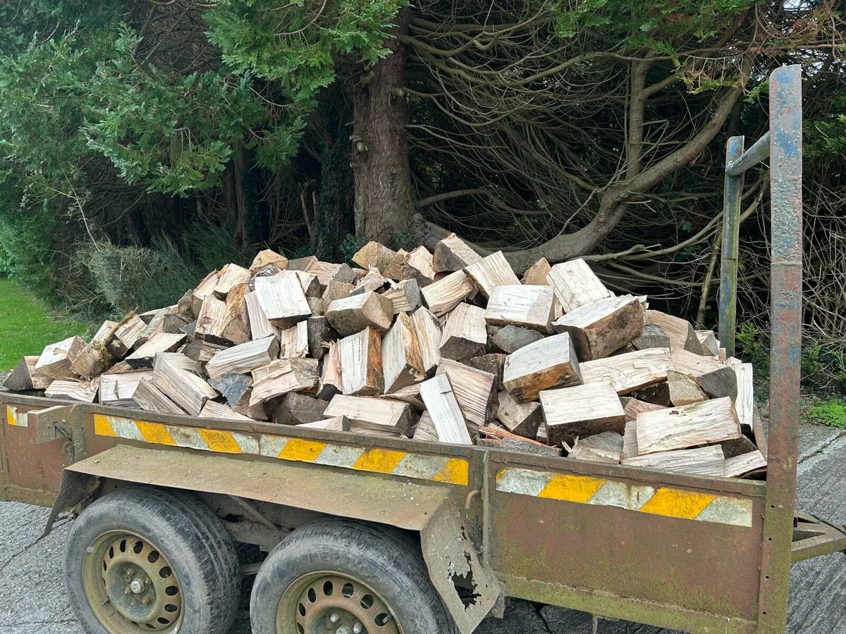 Firewood - Image 2