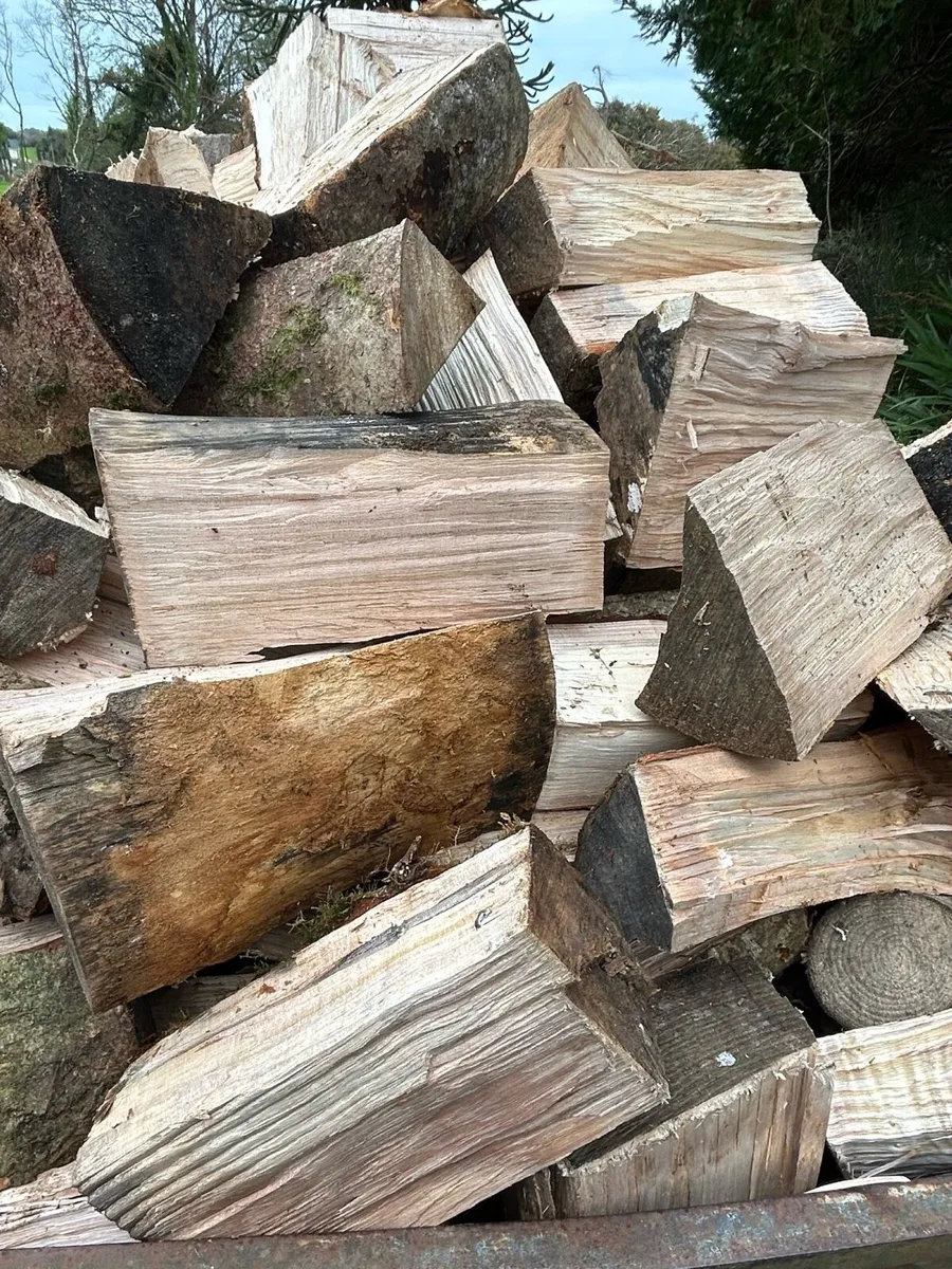 Firewood - Image 3