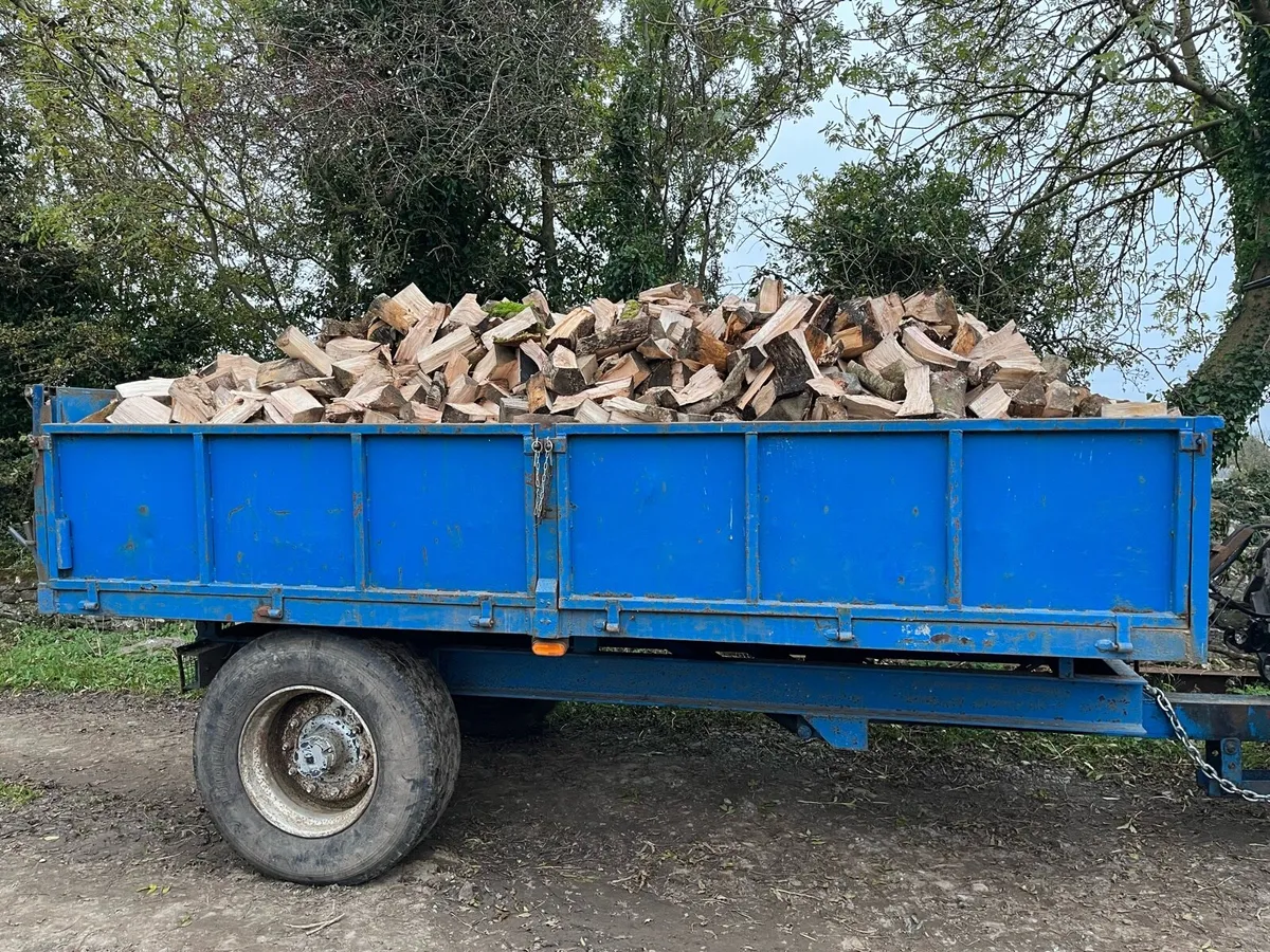Firewood - Image 4