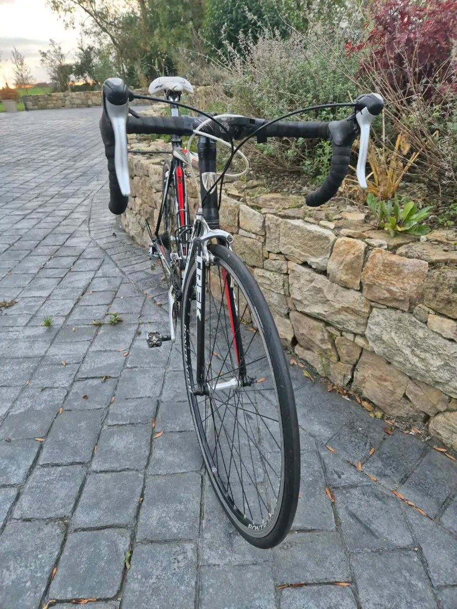 Trek Alpha 1.2 - Image 2