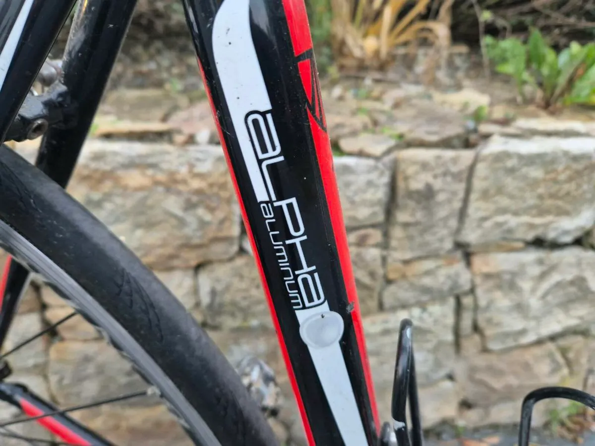 Trek Alpha 1.2 - Image 4