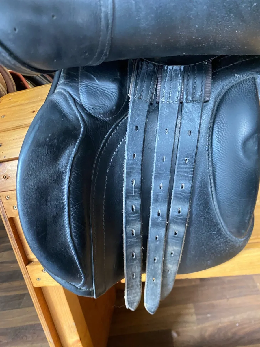 Hilton delux 17” black Leather saddle - Image 4