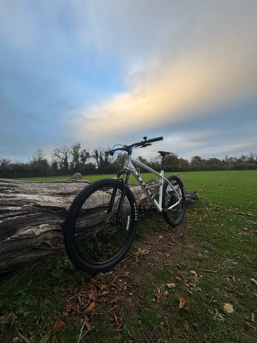 Trek Marlin 7 XXL - Image 3